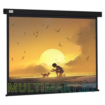 Проекционный экран CACTUS Wallscreen CS-PSW-150X150-BK